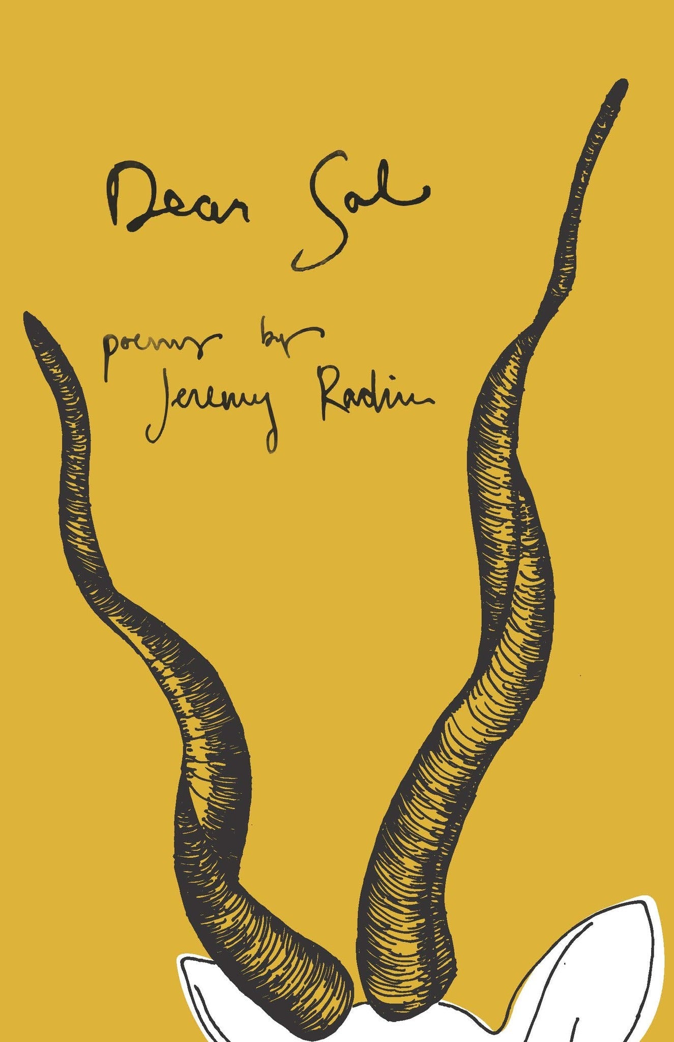 Cover image for Dear Sal ISBN 9781945649035